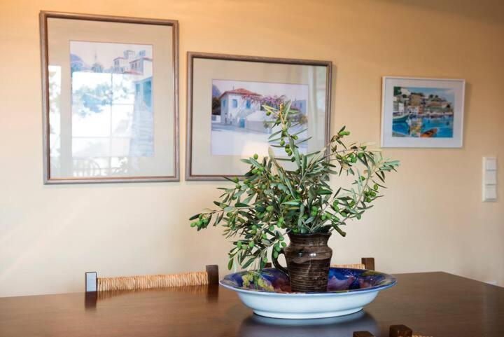 Loukas House Villa PalaiónTsiflíkion Kültér fotó