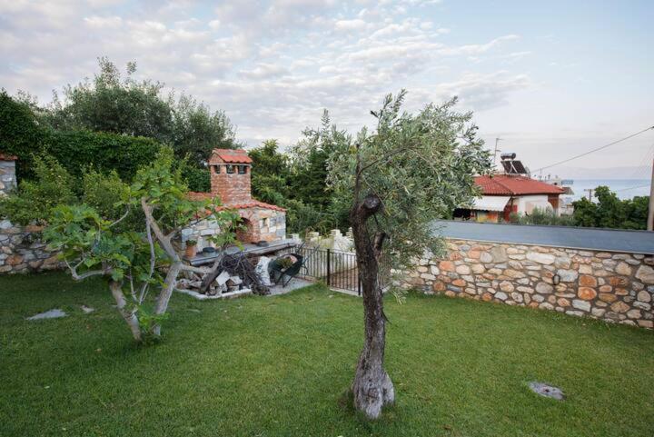 Loukas House Villa PalaiónTsiflíkion Kültér fotó