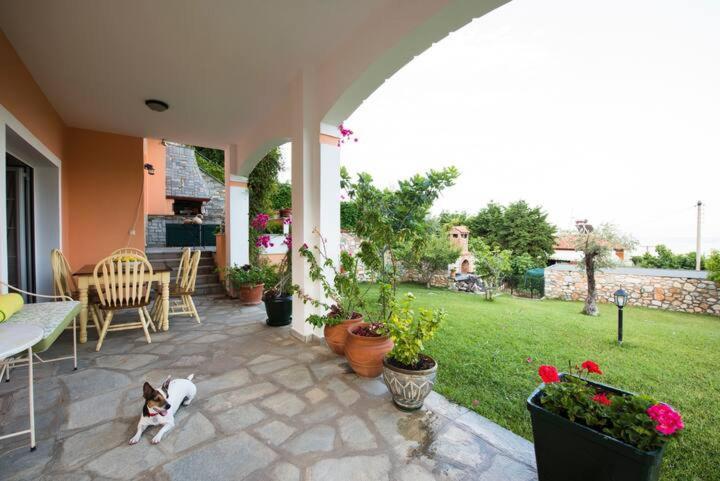Loukas House Villa PalaiónTsiflíkion Kültér fotó
