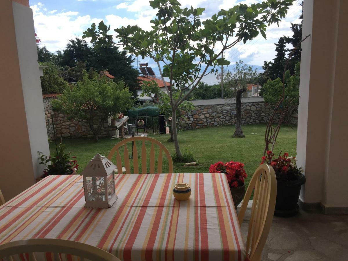 Loukas House Villa PalaiónTsiflíkion Kültér fotó