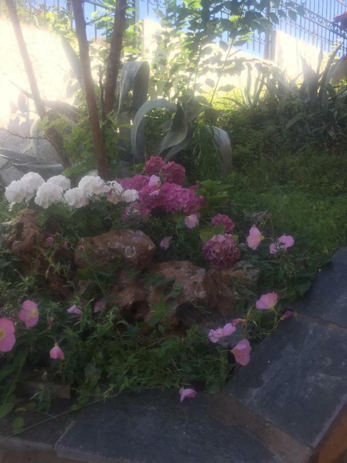 Loukas House Villa PalaiónTsiflíkion Kültér fotó