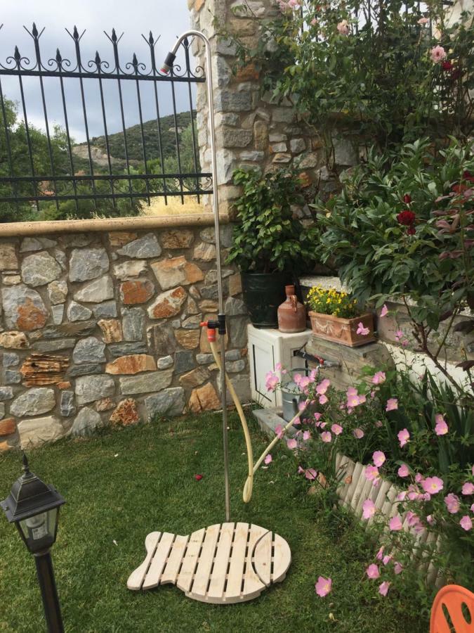 Loukas House Villa PalaiónTsiflíkion Kültér fotó