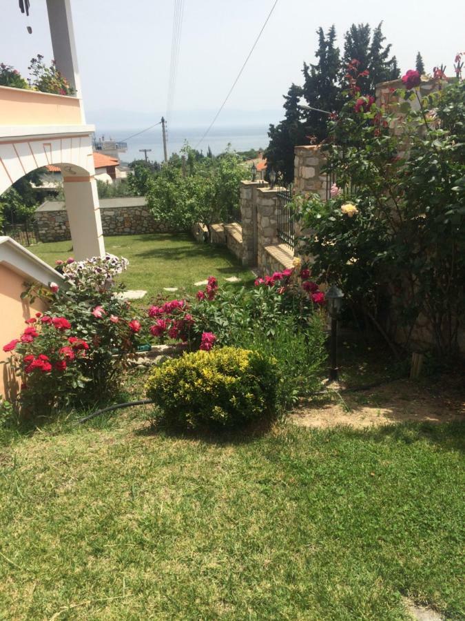 Loukas House Villa PalaiónTsiflíkion Kültér fotó
